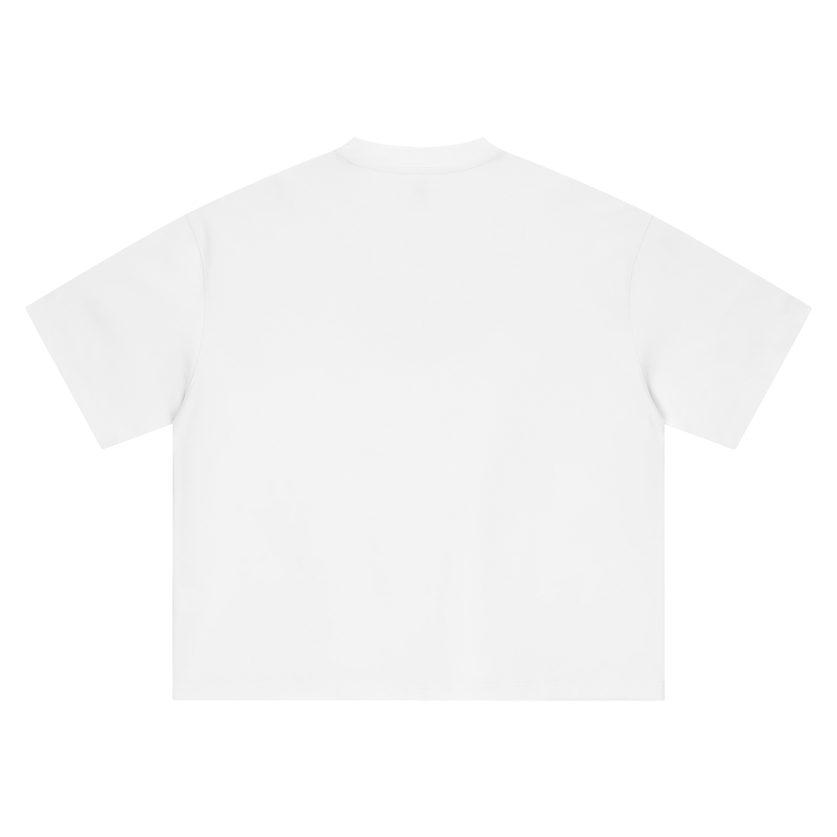 Fossor Snake Graphic Boxy Oversized T-Shirt